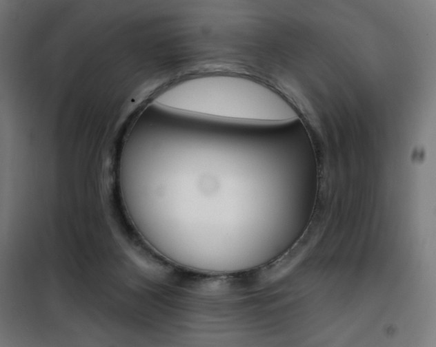 X0000101400116200807071039