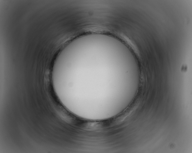 X0000101400117200807071039