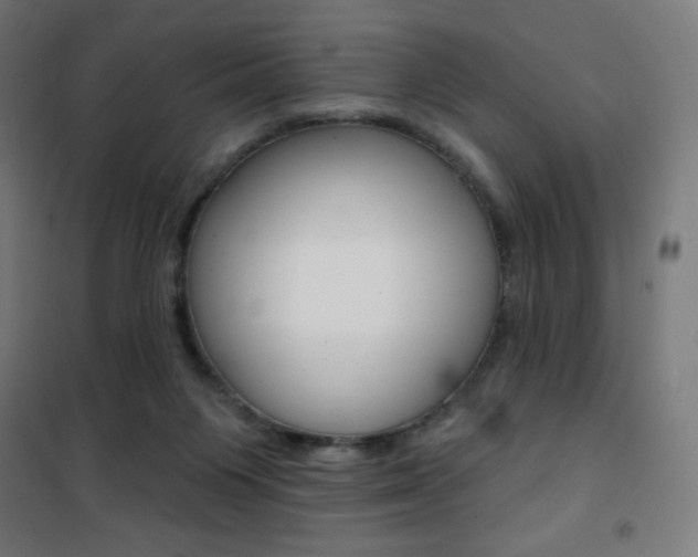 X0000101400119200807071039