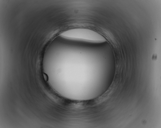 X0000101400120200807071039