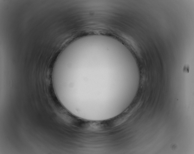 X0000101400121200807071039