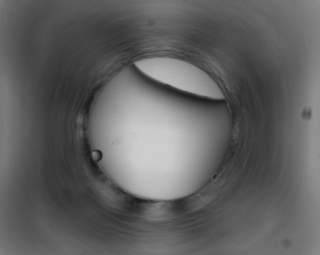 X0000101400122200807071039