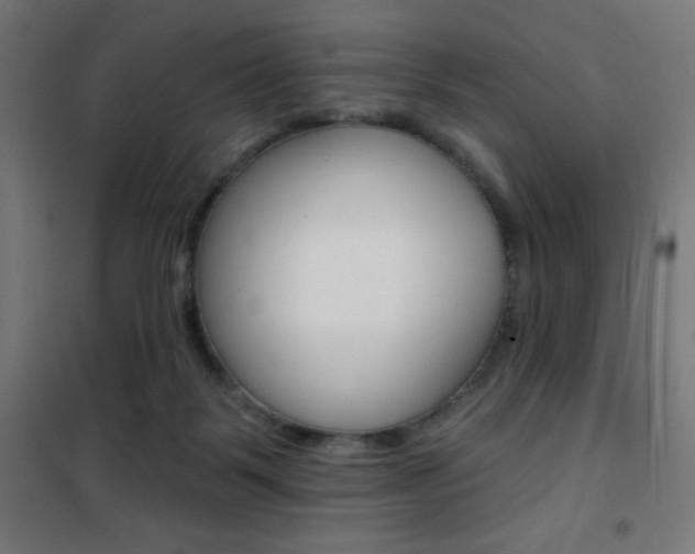 X0000101400123200807071039