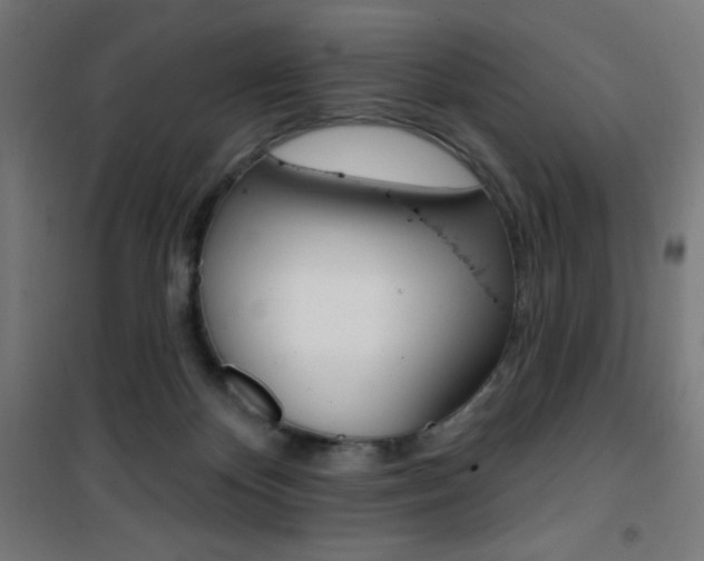 X0000101400124200807071039