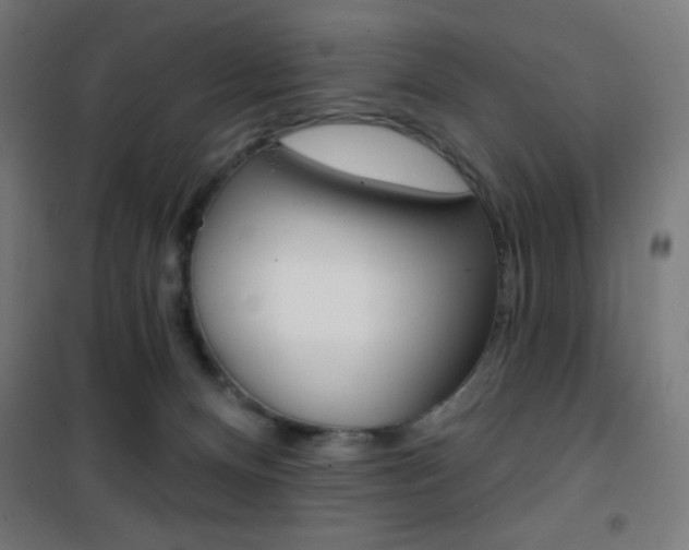 X0000101400128200807071039