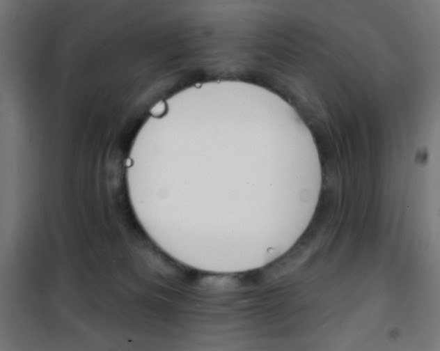 X0000101400133200807071039