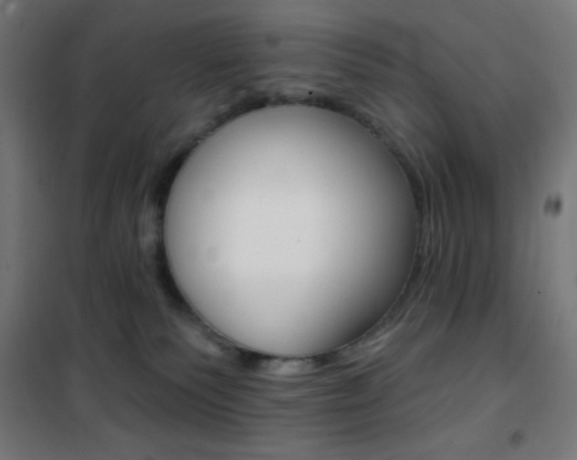 X0000101400135200807071039