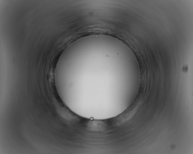 X0000101400137200807071039