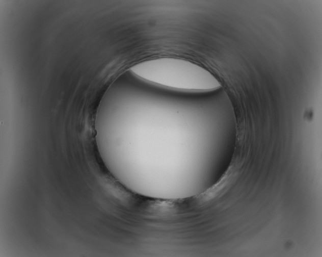 X0000101400140200807071039