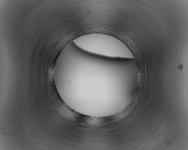 X0000101400142200807071039
