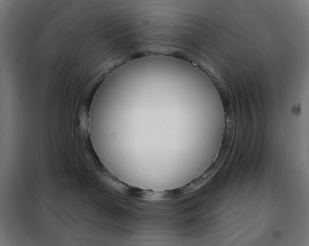 X0000101400143200807071039
