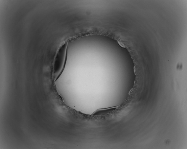 X0000101400144200807071039