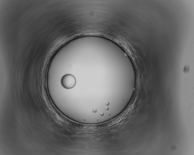 X0000101400145200807071038