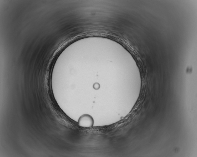X0000101400146200807071038