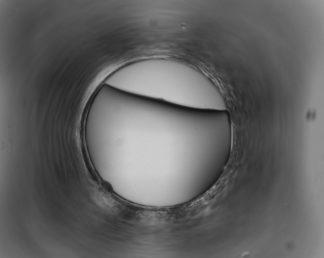 X0000101400147200807071038