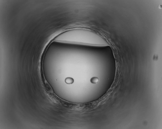 X0000101400148200807071038