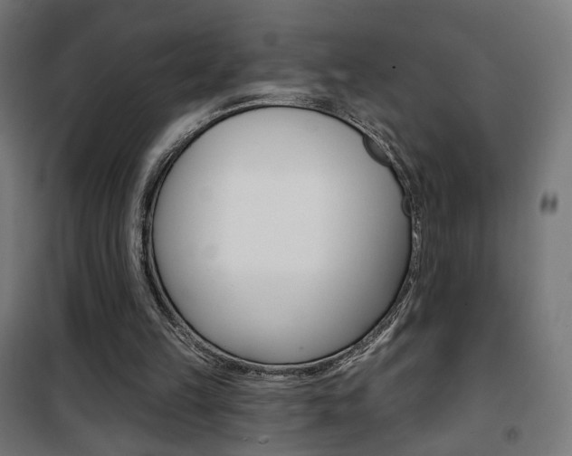 X0000101400149200807071038