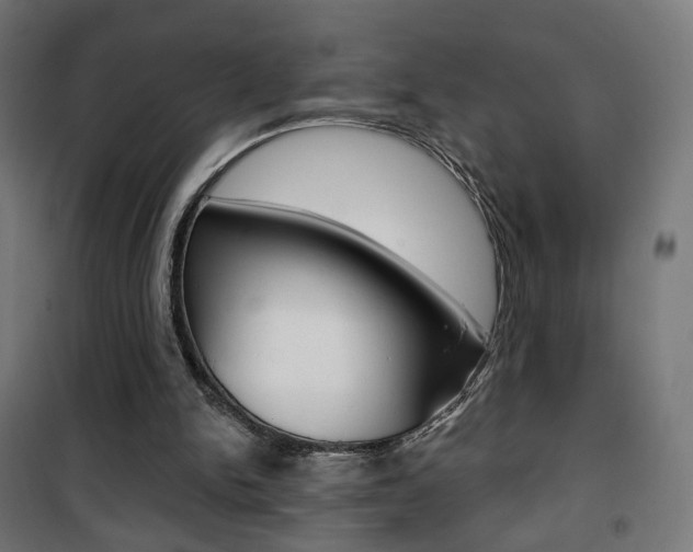 X0000101400150200807071038