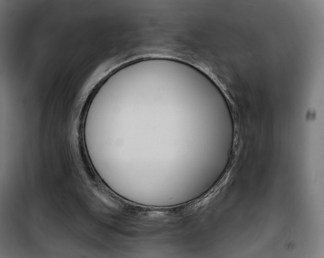 X0000101400151200807071038
