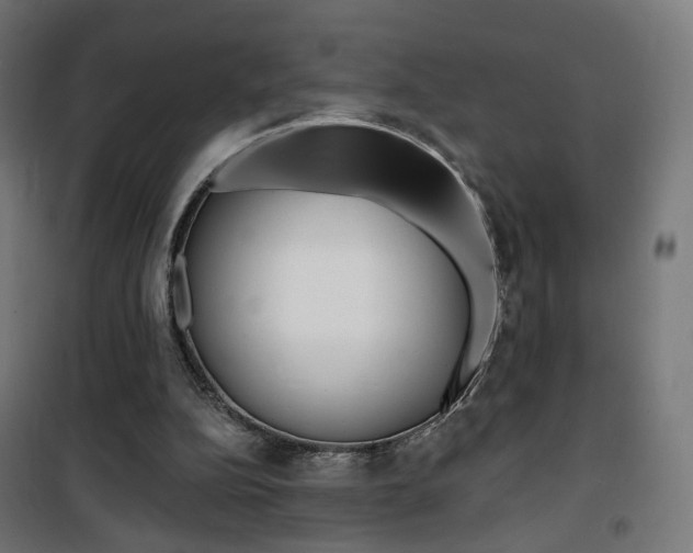 X0000101400152200807071038