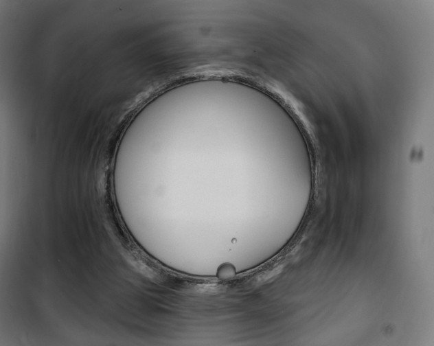 X0000101400153200807071038