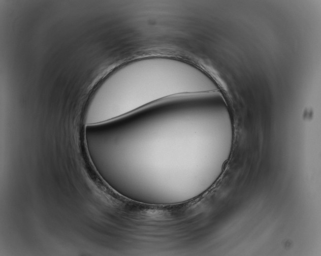 X0000101400154200807071038