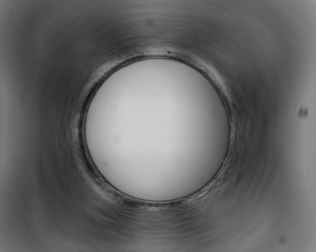 X0000101400155200807071038