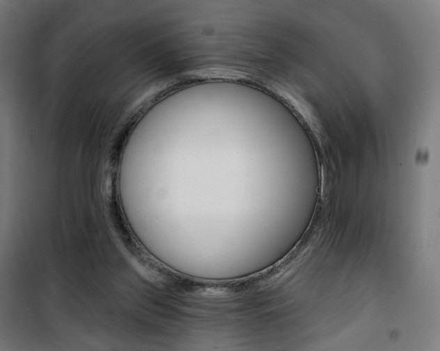 X0000101400157200807071038