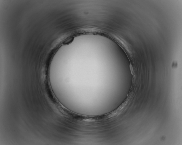 X0000101400158200807071038