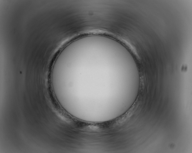 X0000101400159200807071038