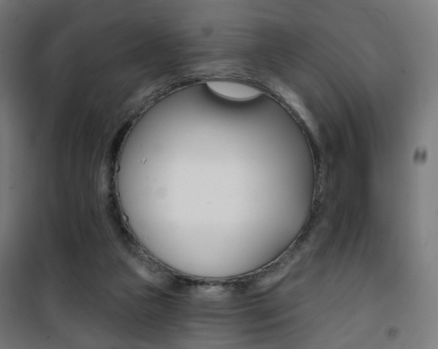 X0000101400161200807071038