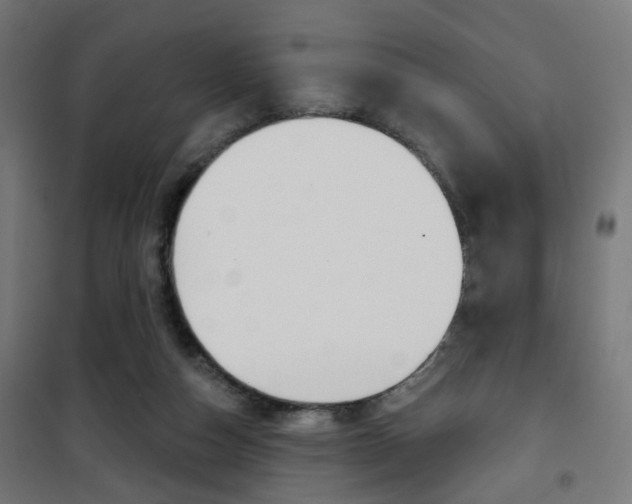 X0000101400162200807071038