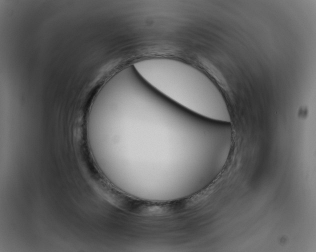 X0000101400163200807071038