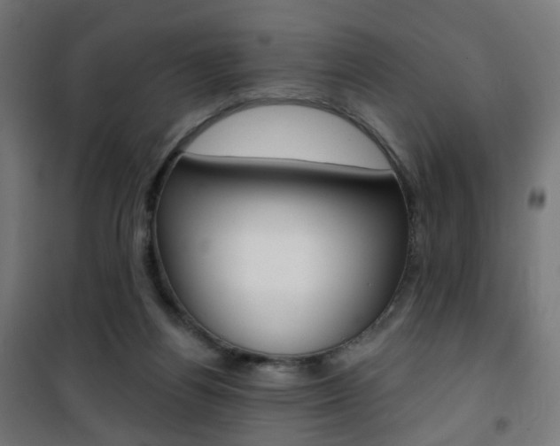 X0000101400164200807071038
