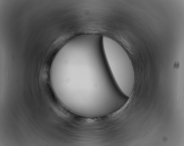 X0000101400166200807071038