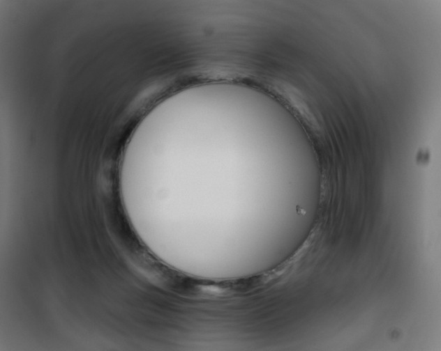 X0000101400167200807071038