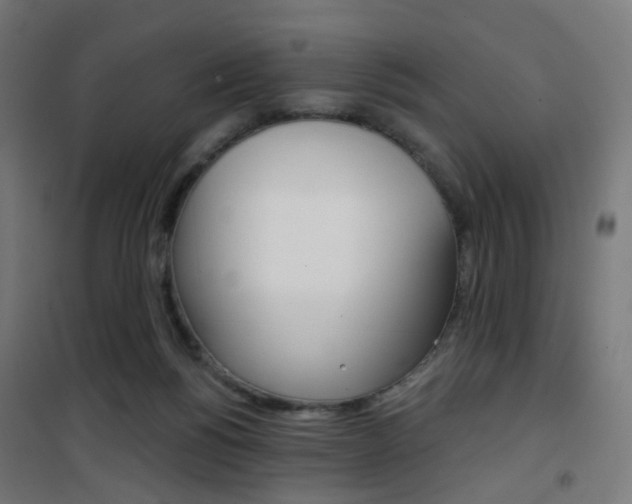 X0000101400168200807071038