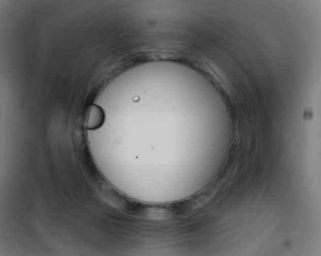 X0000101400169200807071039