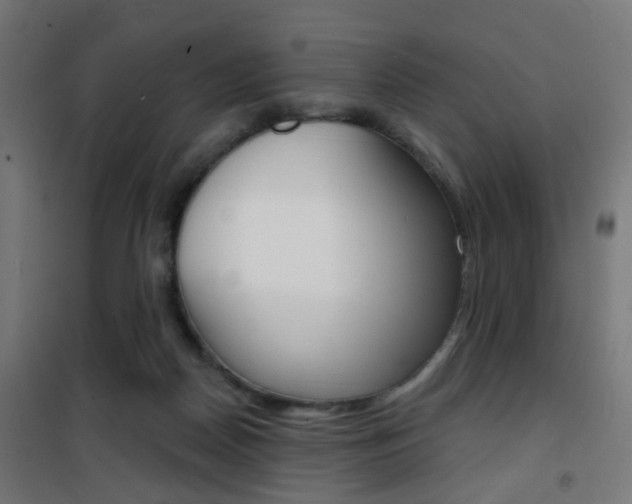 X0000101400170200807071039