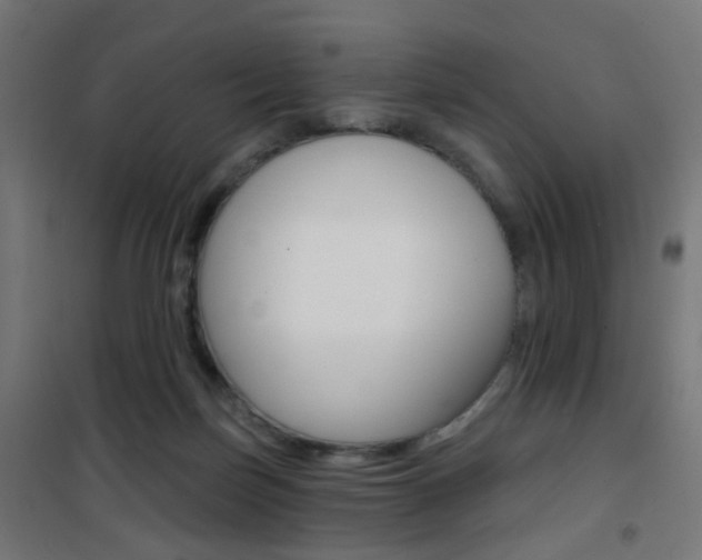 X0000101400171200807071039
