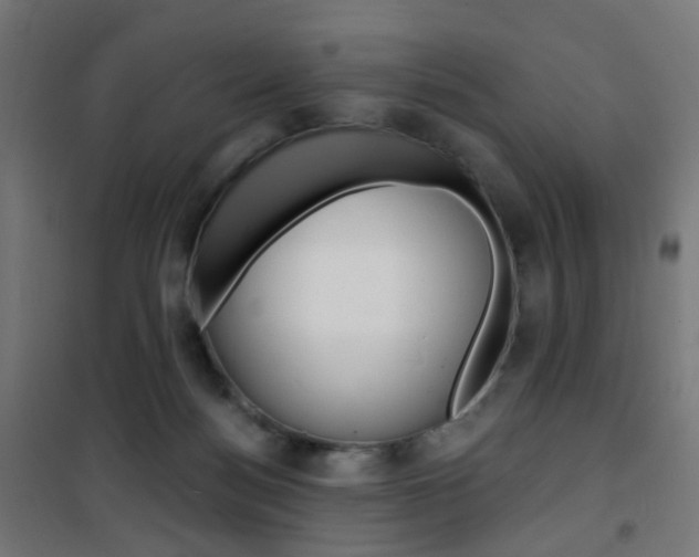 X0000101400172200807071039