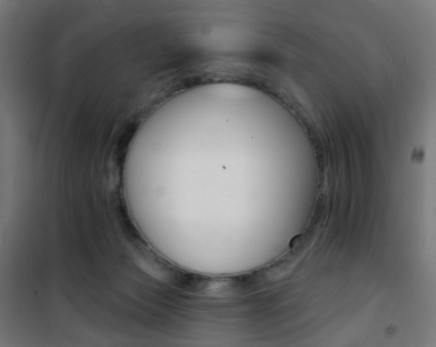 X0000101400173200807071039