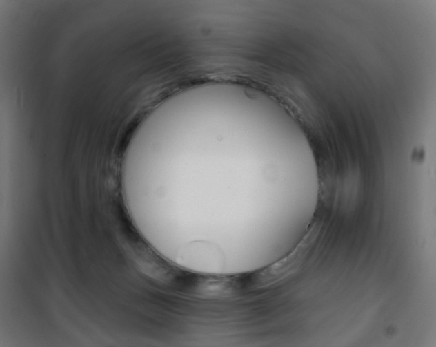 X0000101400175200807071039