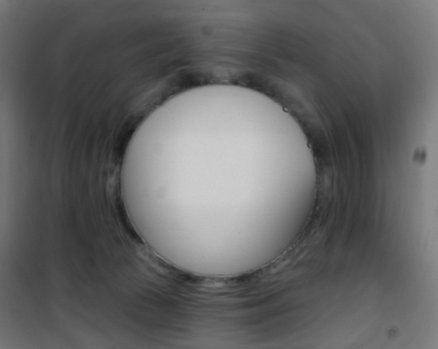 X0000101400177200807071039