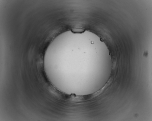 X0000101400179200807071039