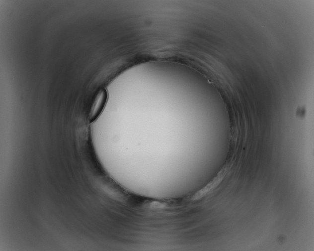 X0000101400180200807071039