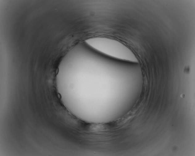 X0000101400181200807071039