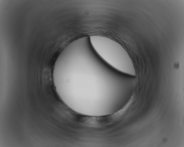 X0000101400182200807071039