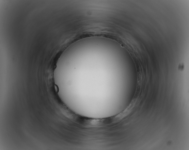 X0000101400184200807071039