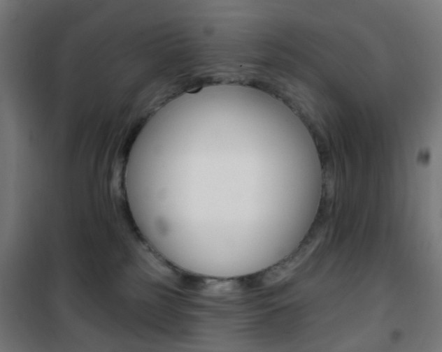 X0000101400185200807071039